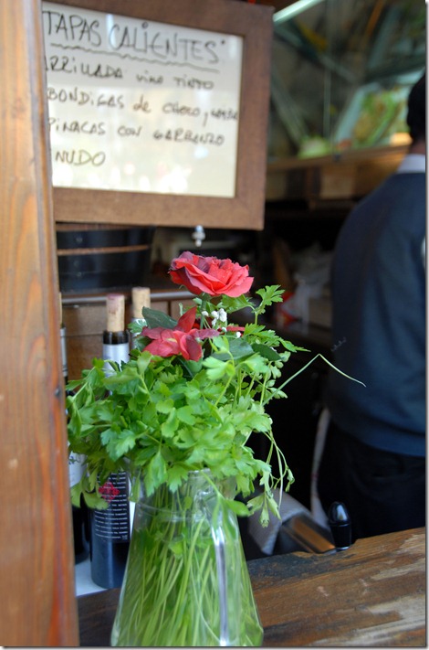 DSC_4345_bearbeitet-1-1